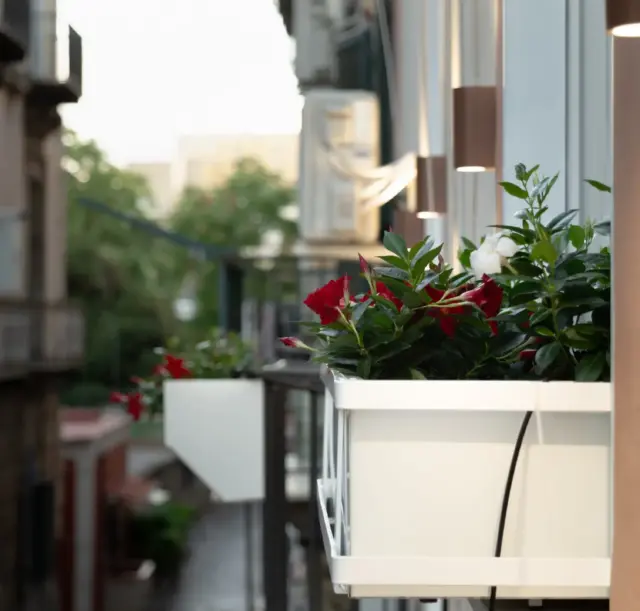dimora-botanica-bed-and-breakfast-napoli-ingressi-13