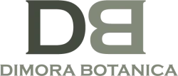 Dimora Botanica Napoli